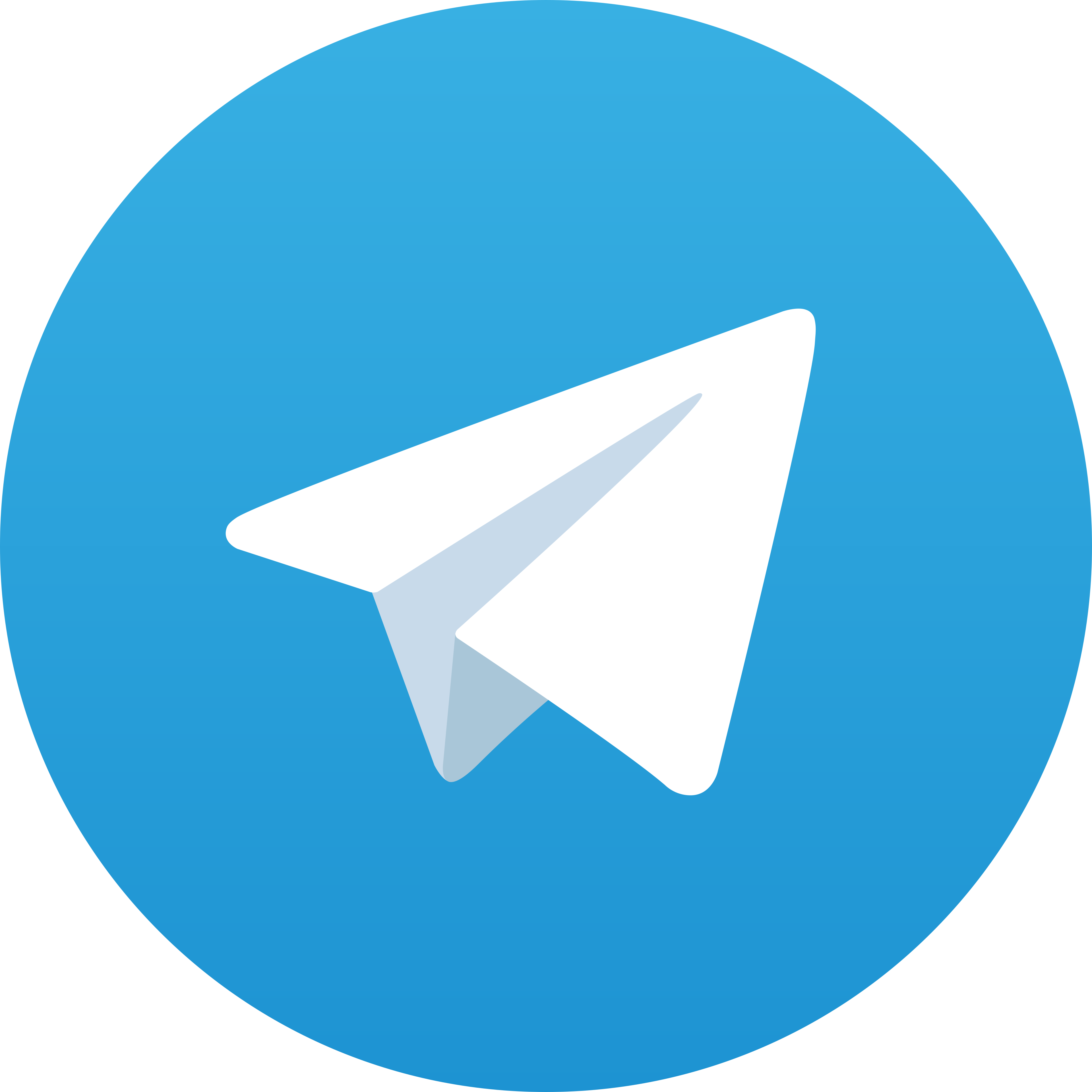 Telegram Beni77
